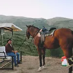 Bujtina E Muriqit * Zogaji