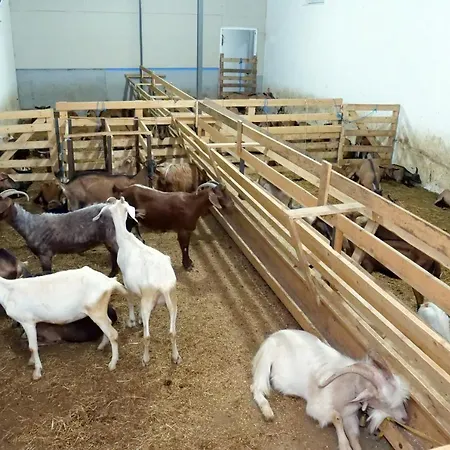 Bujtina E Muriqit * Zogaji