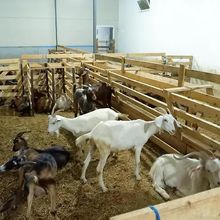Θέρετρο Bujtina E Muriqit