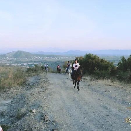 Θέρετρο Bujtina E Muriqit