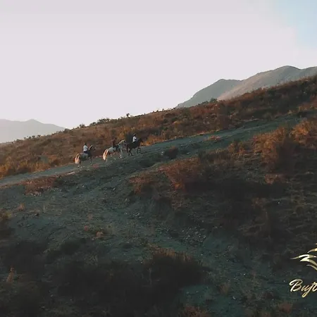 Bujtina E Muriqit Θέρετρο Zogaji