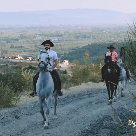 Bujtina E Muriqit