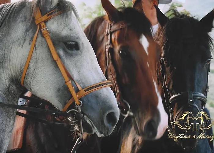 Bujtina E Muriqit Resort *