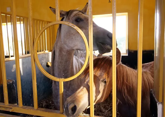 Bujtina E Muriqit Resort