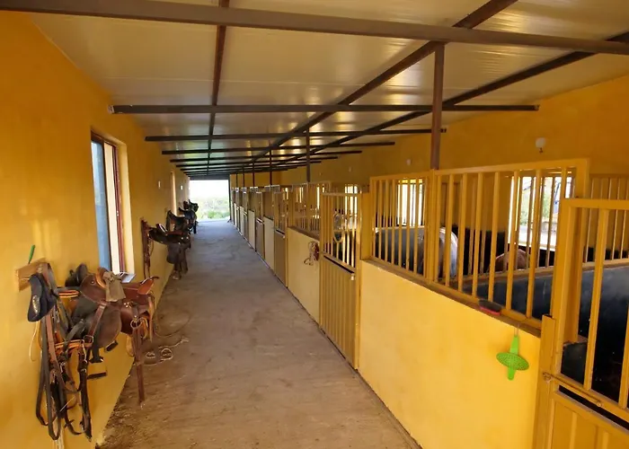 Bujtina E Muriqit منتجع