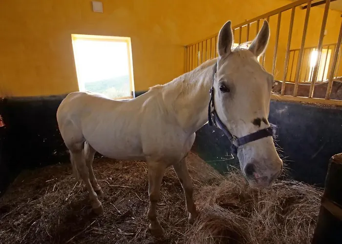 Bujtina E Muriqit Ośrodek wypoczynkowy