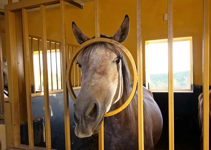 Ośrodek wypoczynkowy Bujtina E Muriqit *