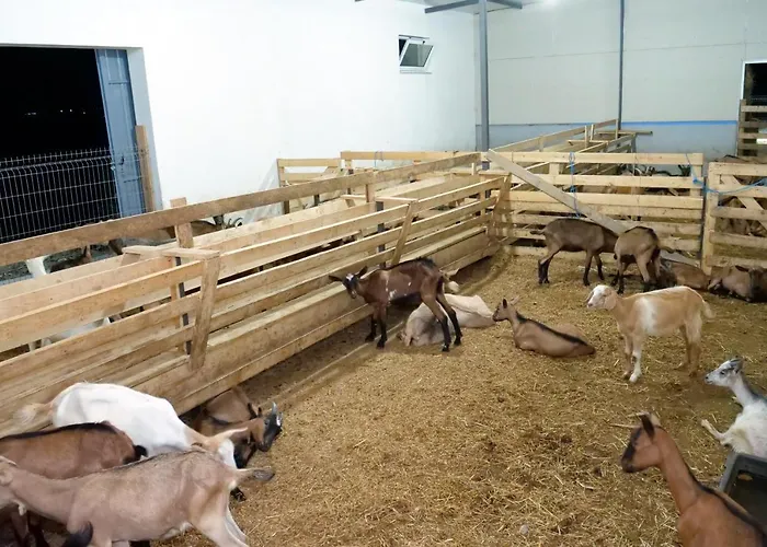 Ośrodek wypoczynkowy Bujtina E Muriqit *