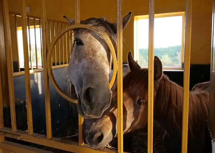 Bujtina E Muriqit Ośrodek wypoczynkowy