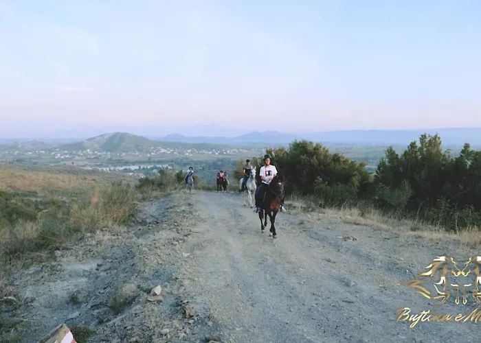 Resort Bujtina E Muriqit