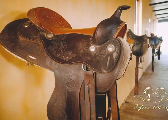 Ośrodek wypoczynkowy Bujtina E Muriqit Zogaji