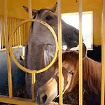 Bujtina E Muriqit Üdülőközpont