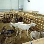 Üdülőközpont Bujtina E Muriqit