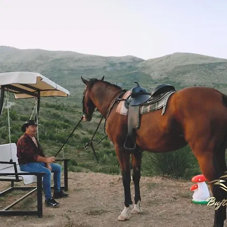 Bujtina E Muriqit * Zogaji