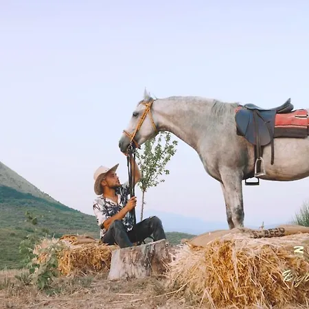 منتجع Bujtina E Muriqit