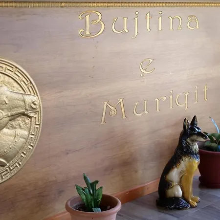 منتجع Bujtina E Muriqit *
