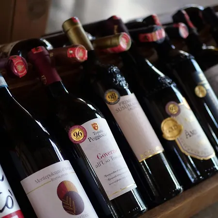 منتجع Bujtina E Muriqit Zogaji