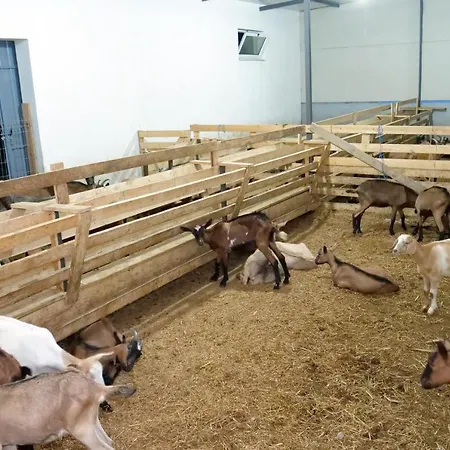 منتجع Bujtina E Muriqit *