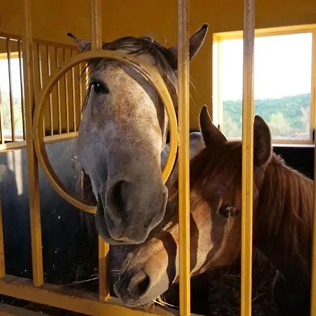 Bujtina E Muriqit منتجع