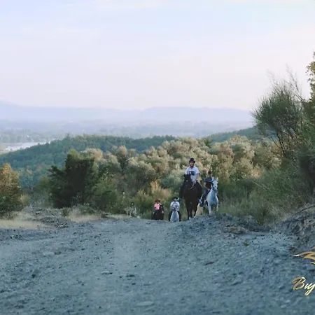 Bujtina E Muriqit Rezort Zogaji
